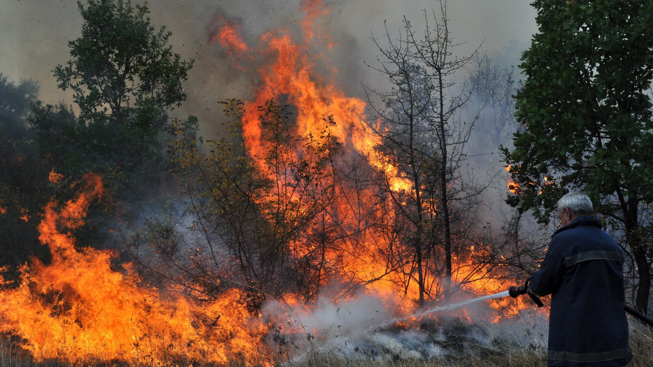 Военни помогнаха за локализирането на горския пожар в Родопите