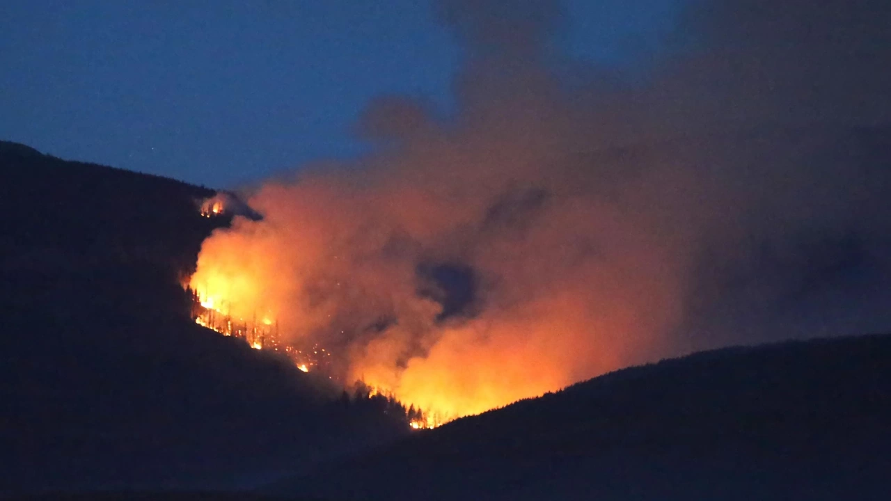 Пожар гори в Родопите близо до границата с Гърция Огънят тръгва
