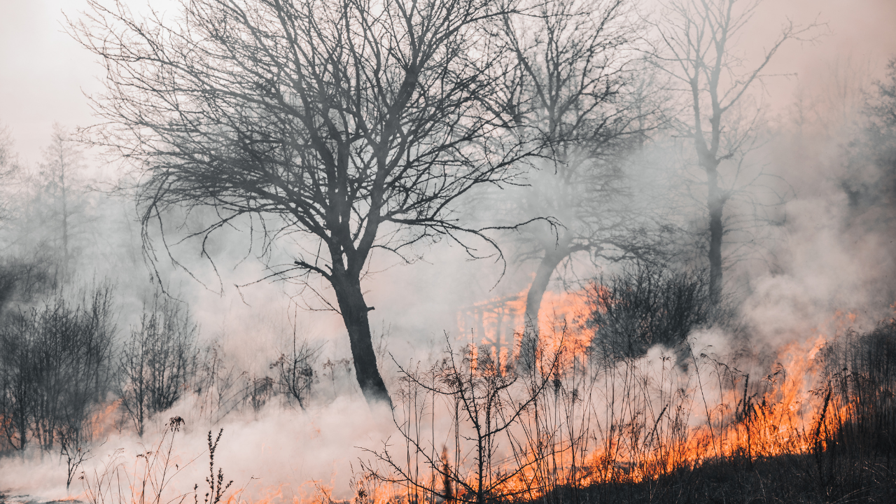 След пожара край Ракитница: Отчетено е завишение на ФПЧ