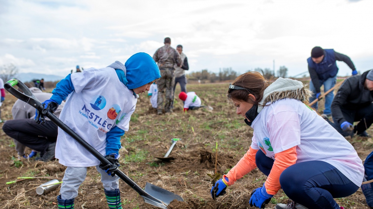 Родители, учители и деца заедно засадиха 3400 фиданки в Новата