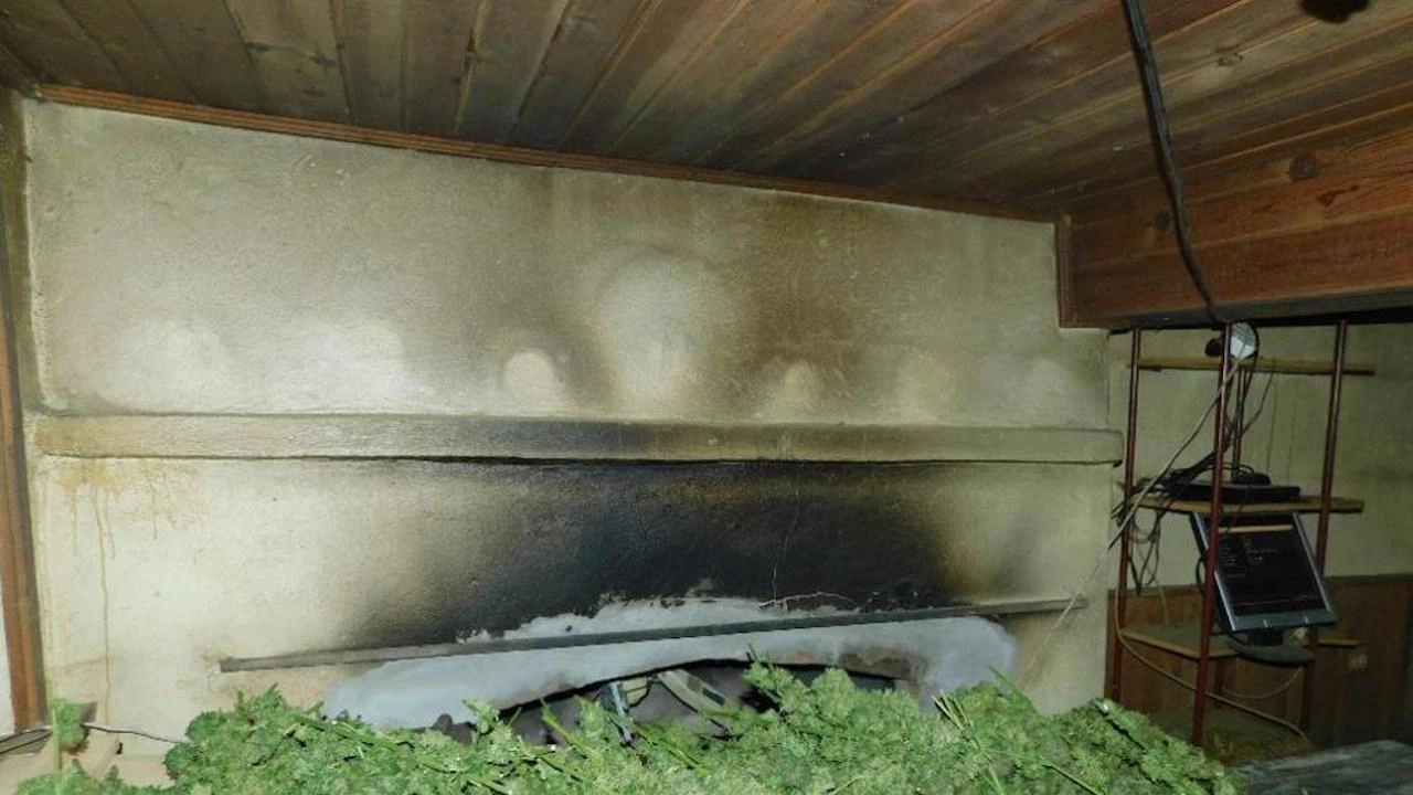 Иззеха близо 50 кг марихуана в габровско село съобщиха от полицията На 4
