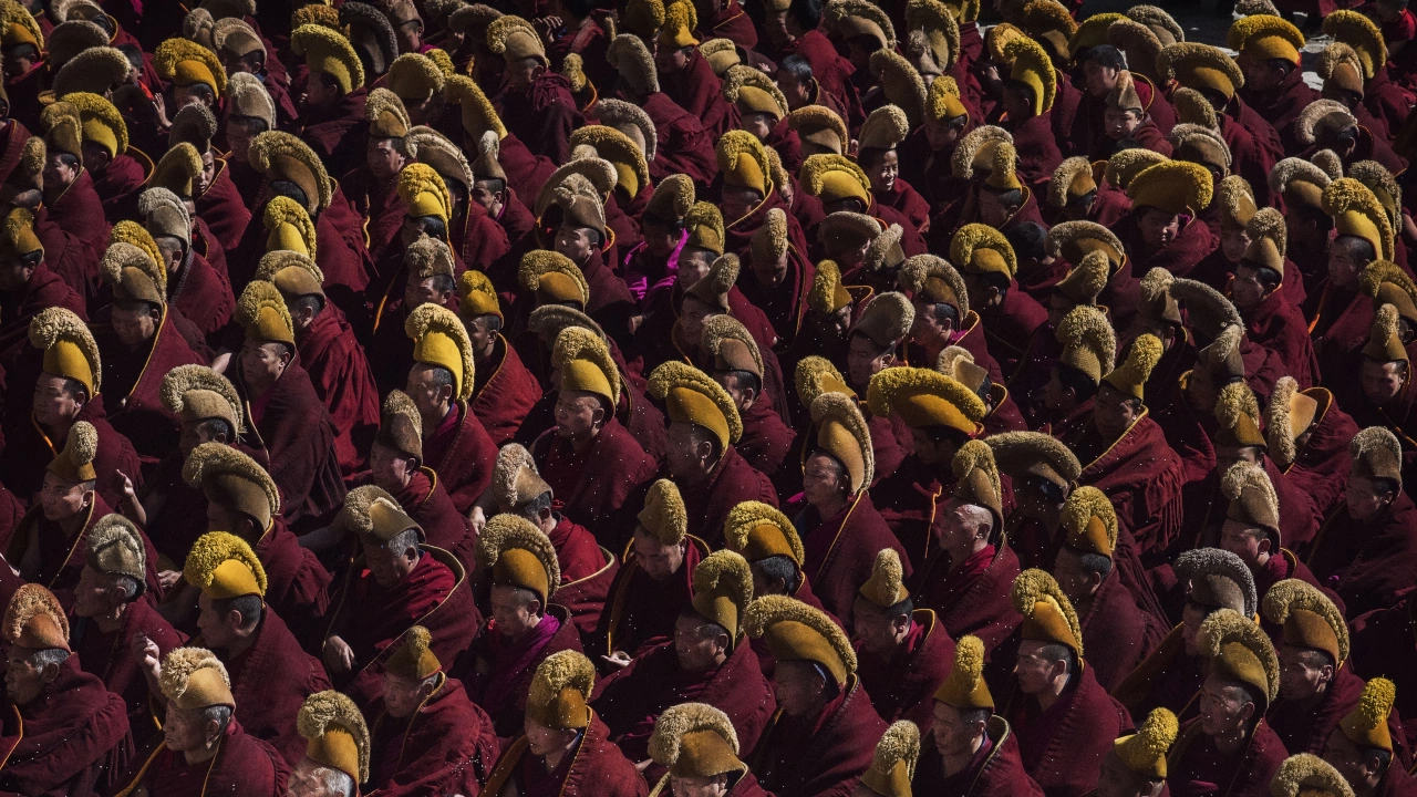 Около 100 практикуващи монаси участват в изследвания на електрическата активност