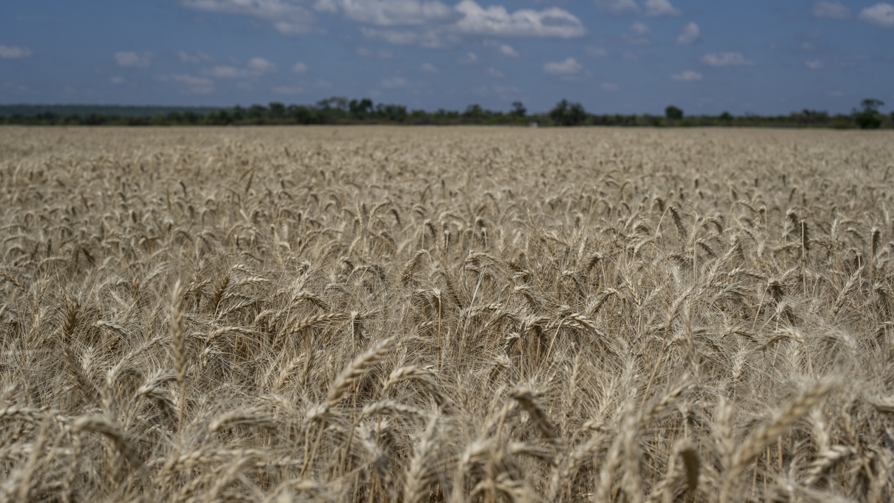 Земеделските стопани в България отново ще бъдат подпомогнати заради войната в Украйна