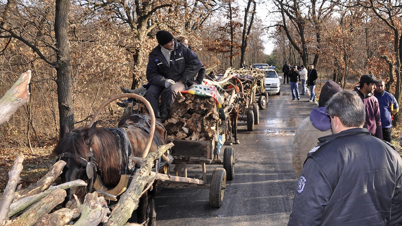 Задържаха четирима, превозвали контрабандно дърва за огрев в землището на село Църквица