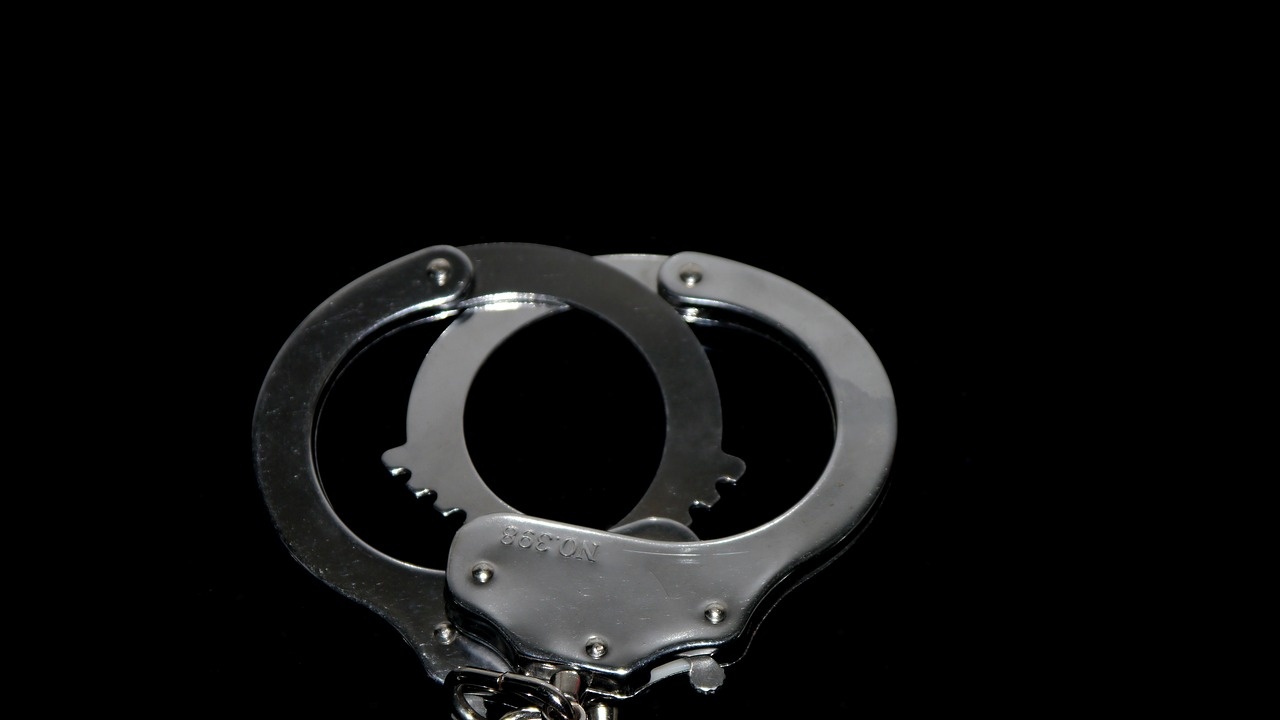 Шестима от задържаните за разпространение на детско порно остават в ареста