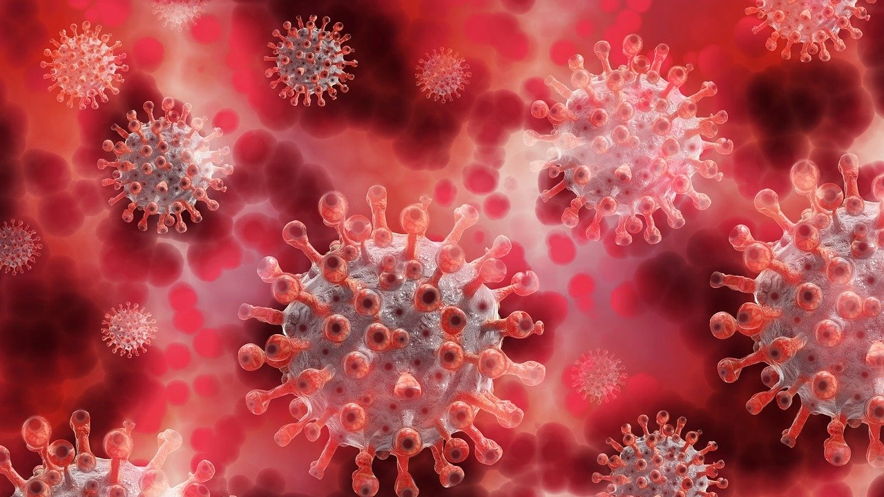 479 са новите случаи на коронавирус у нас Направени са