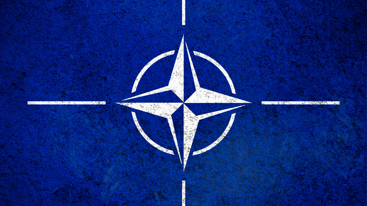 Парламентарната асамблея на НАТО обяви Русия за терористична държава