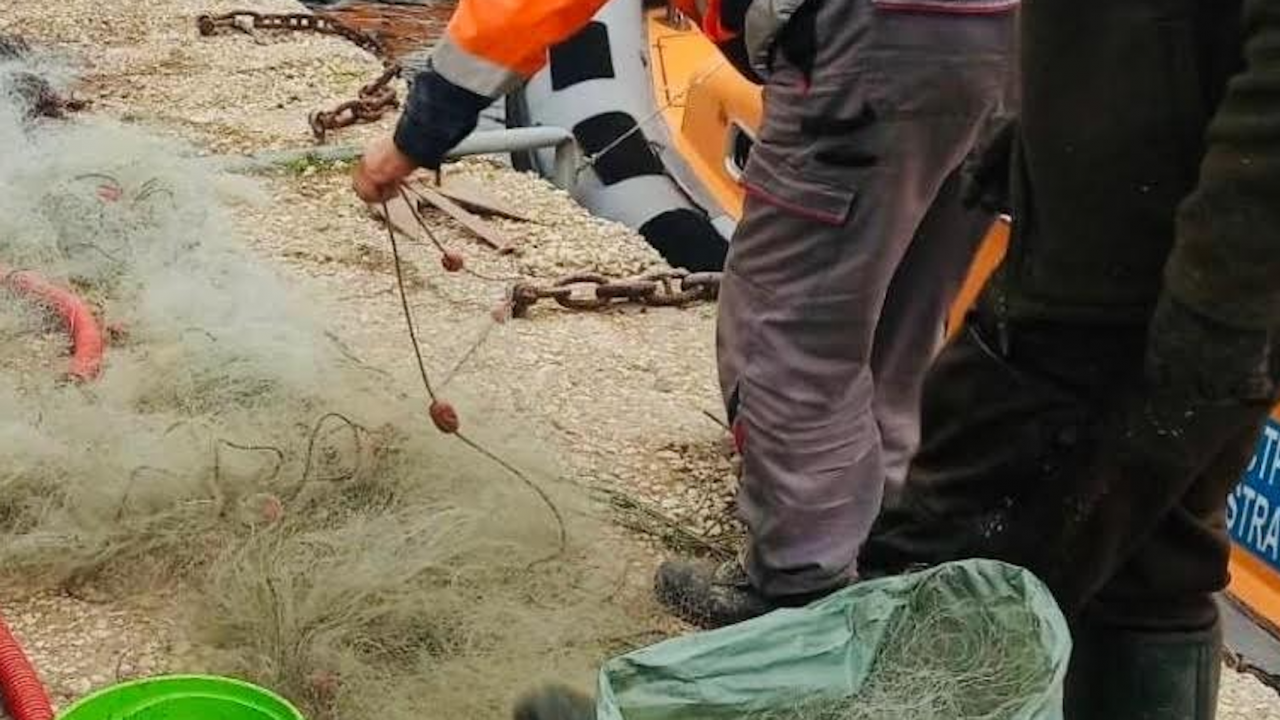 Откриха незаконни мрежи в акваторията на Пристанище Варна - Изток