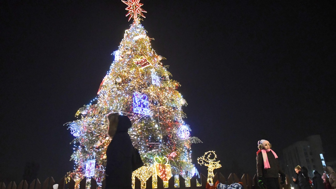 Коледната елха в София ще светне на 1 декември