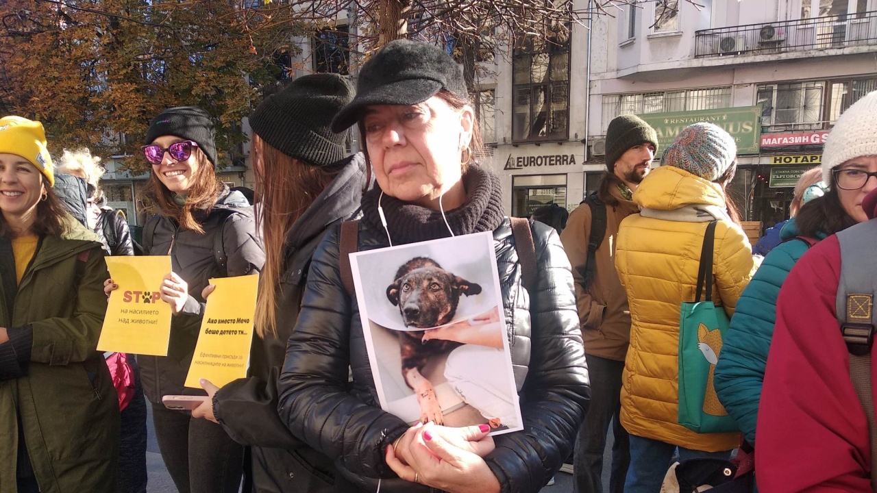 Протест пред Съдебната палата срещу садиста Захари, изтезавал кучето Мечо