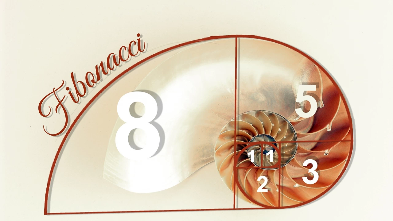 Всяка година 23 ноември е обявен за Ден на Фибоначи