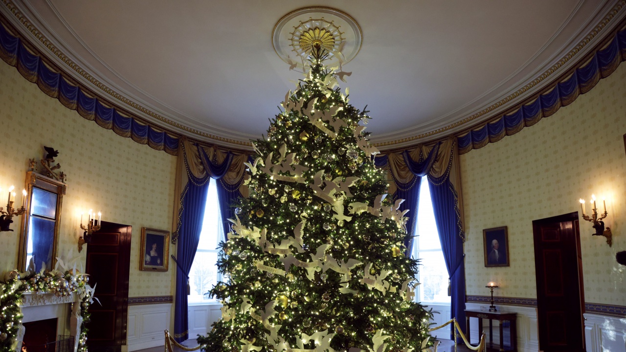 77 елхи красят Белия дом за Коледа
