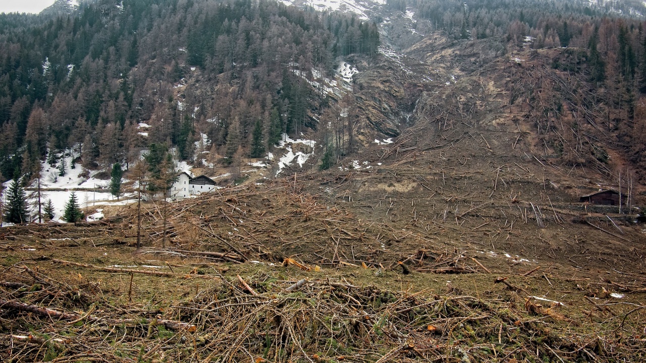 Благоевградско село е откъснато от населените места заради свлачище