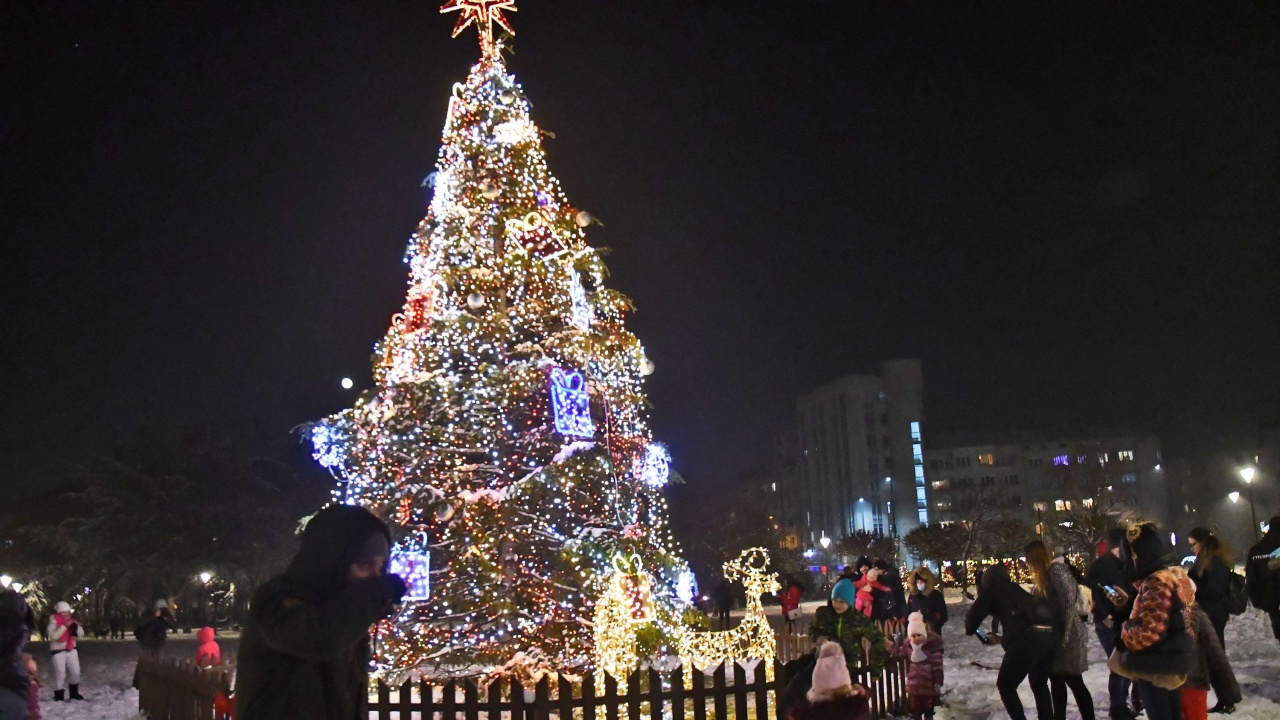 Коледната елха на София грейва на 1 декември, откриват 10 коледни базара и пързалки