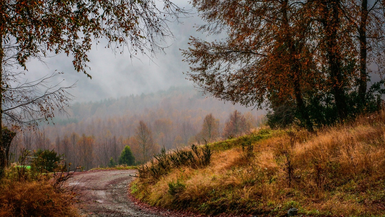 Ето какво време ни очаква днес
