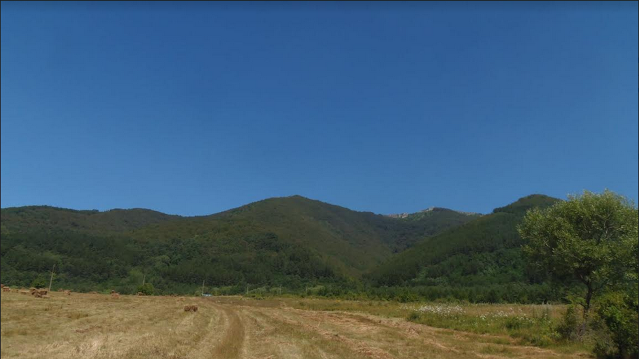 Обявена е нова защитена местност "Находища на алпийски тритон в Руй планина"