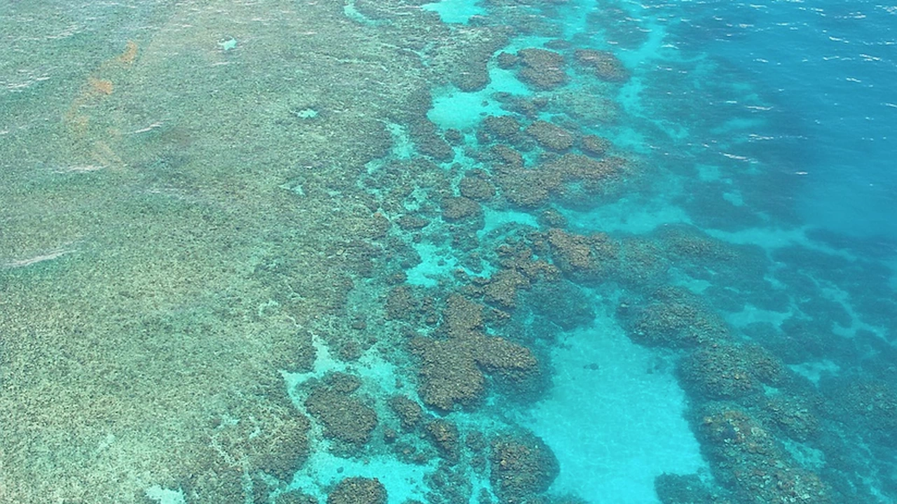 Комисия подкрепяна от ООН предлага Големият бариерен риф да бъде