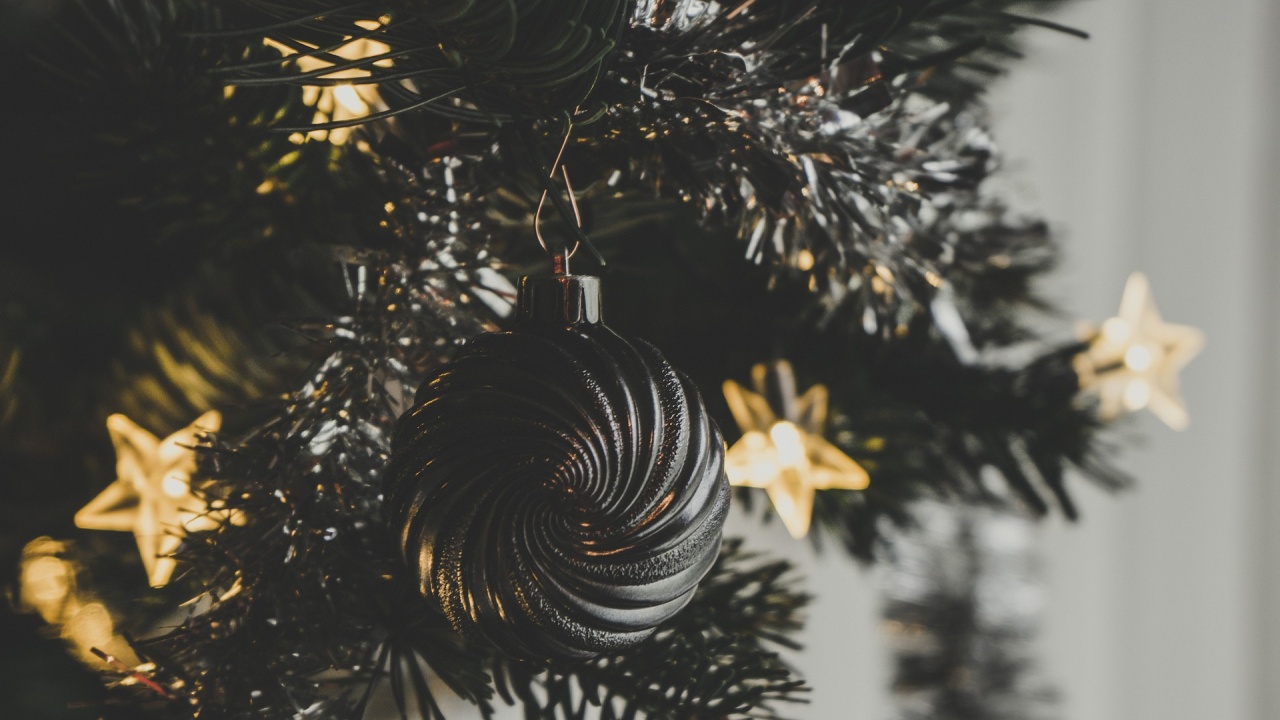 Горското стопанство в Търговище осигурява 400 отсечени елхи за Коледа