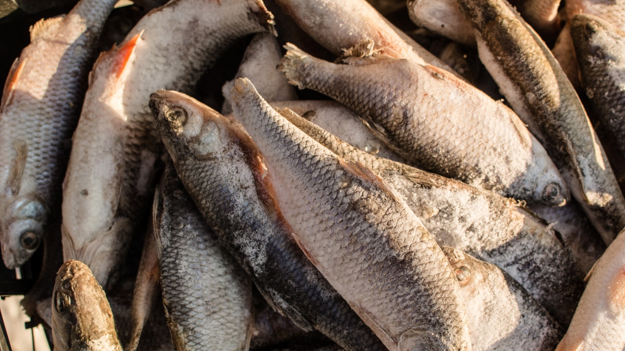 "Активни потребители": Хистаминът в рибата може да доведе до натравяне