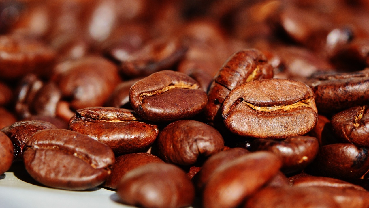 Излишък на кафе се очаква през следващия сезон, отчита доклад