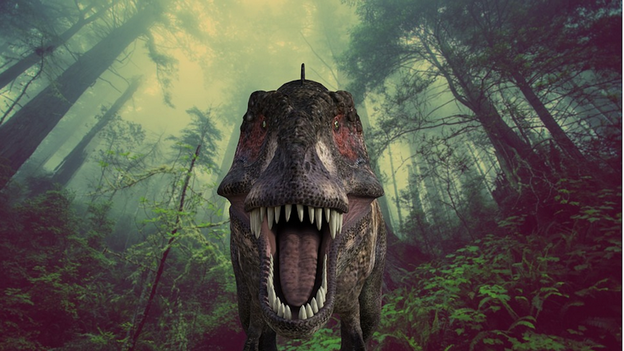 Учени проучват менюто на динозаври по зъбите им