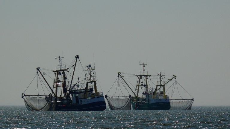 Собственик на български риболовен кораб спечели дело в Европейския съд за правата на човека срещу Румъния