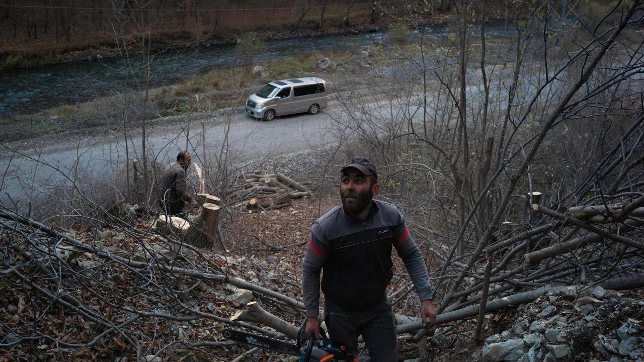 Трима бракониери добивали незаконно дърва в гори в монтанско са