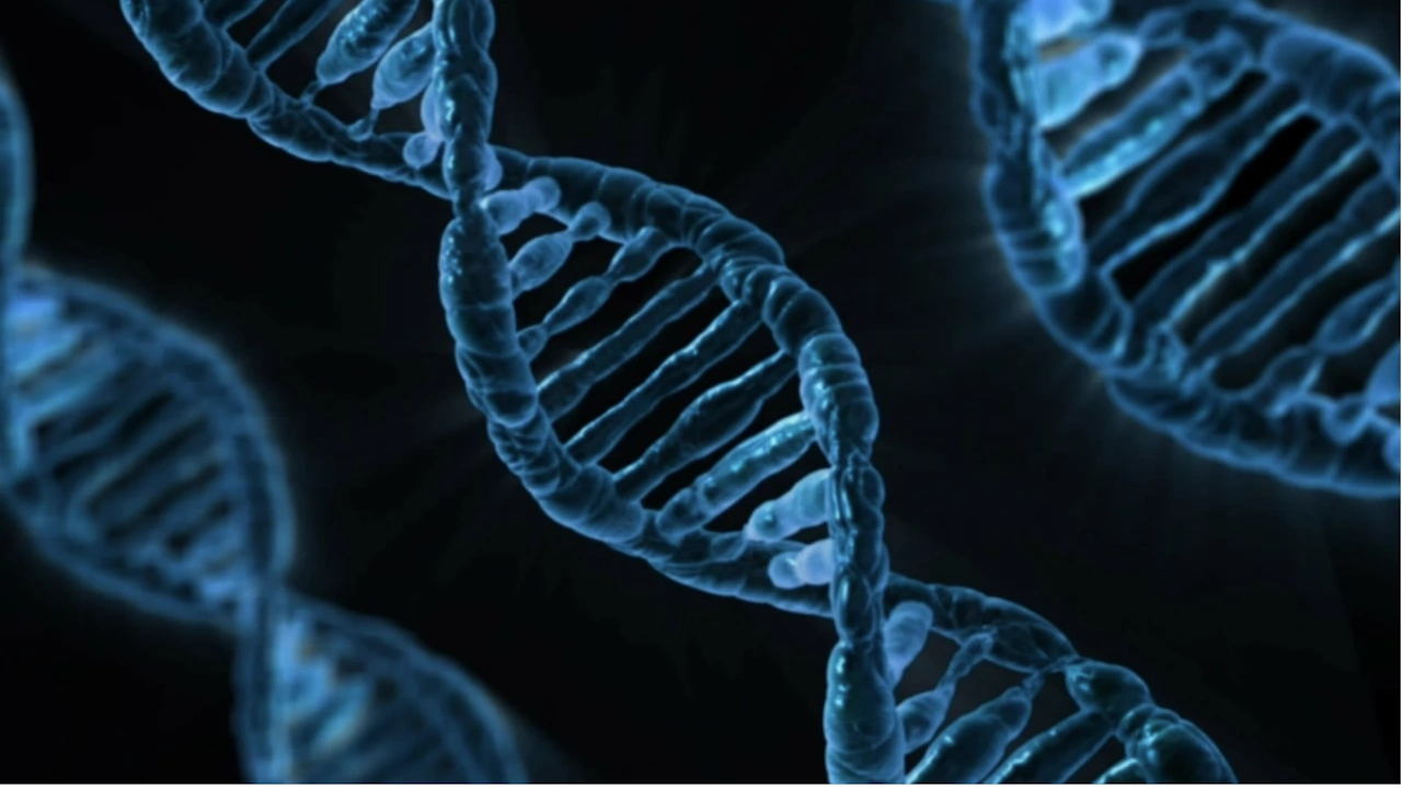 Учени са идентифицирали ДНК от животни, растения и микроби, датираща