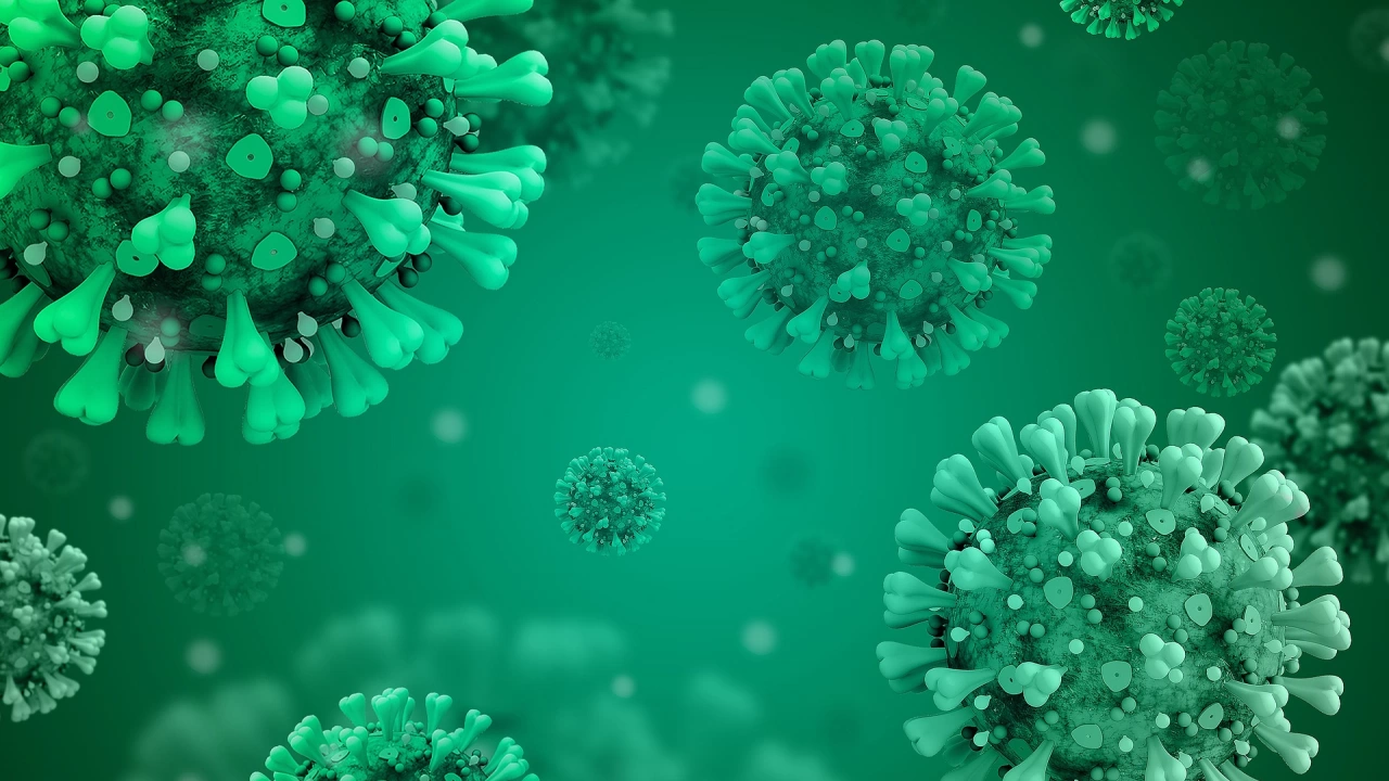 Сто осемдесет и шест са новите случаи на коронавирус у