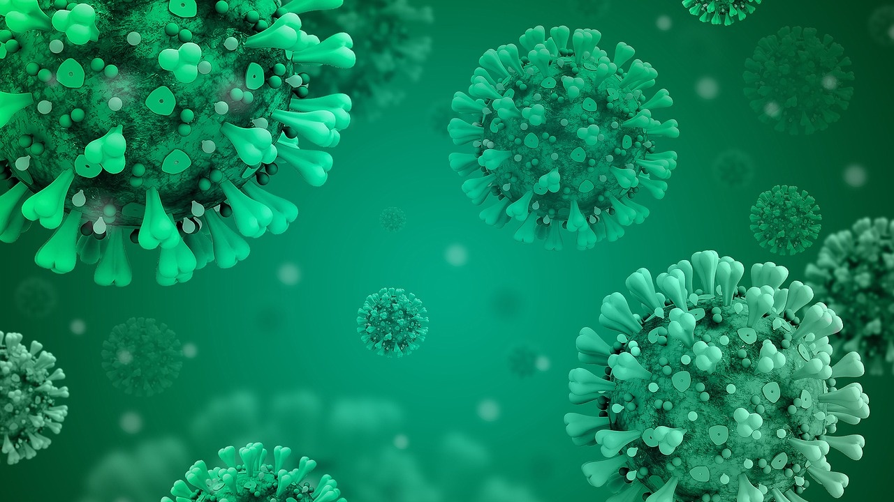 Новите случаи на коронавирус у нас за последното денонощие са 56