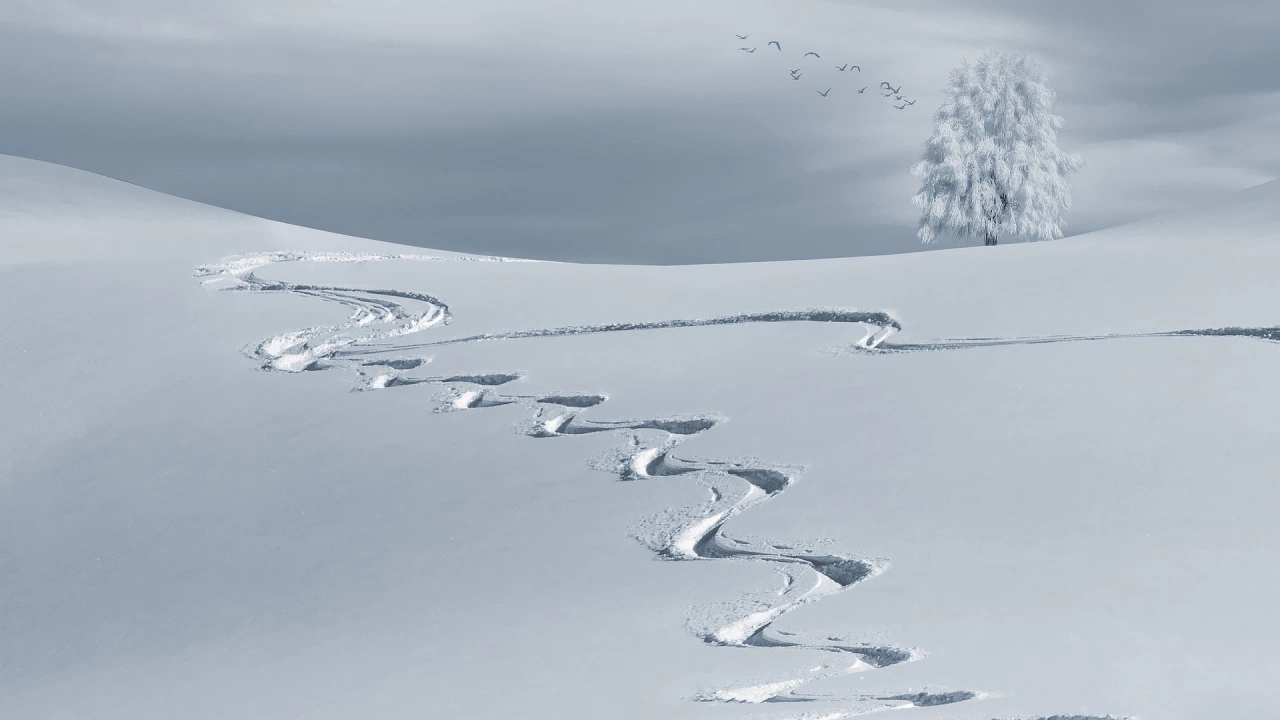 На 17 декември Банско открива зимния сезон Снегът закъснява температурите в