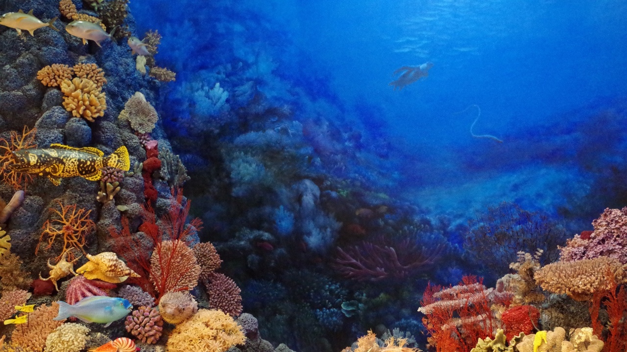 Учени, работещи на Големия бариерен риф в Австралия, изпробваха успешно