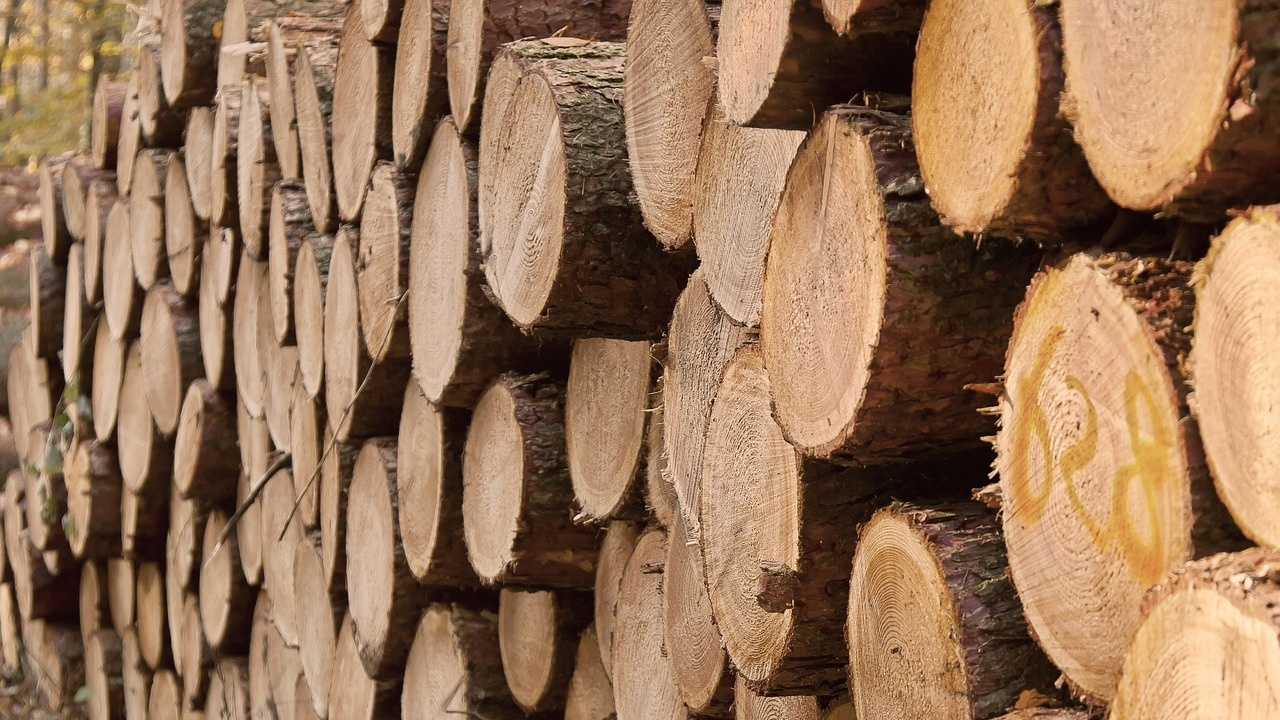 Близо два пъти повече дърва за огрев са доставени в Габрово в сравнение с 2021 година