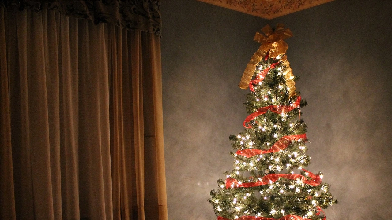 Коледата елха е един от ключовите символи на празника без