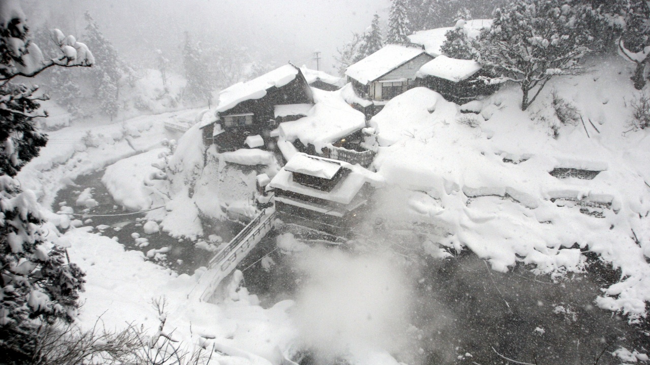 Обилният снеговалеж в Япония взе 17 жертви
