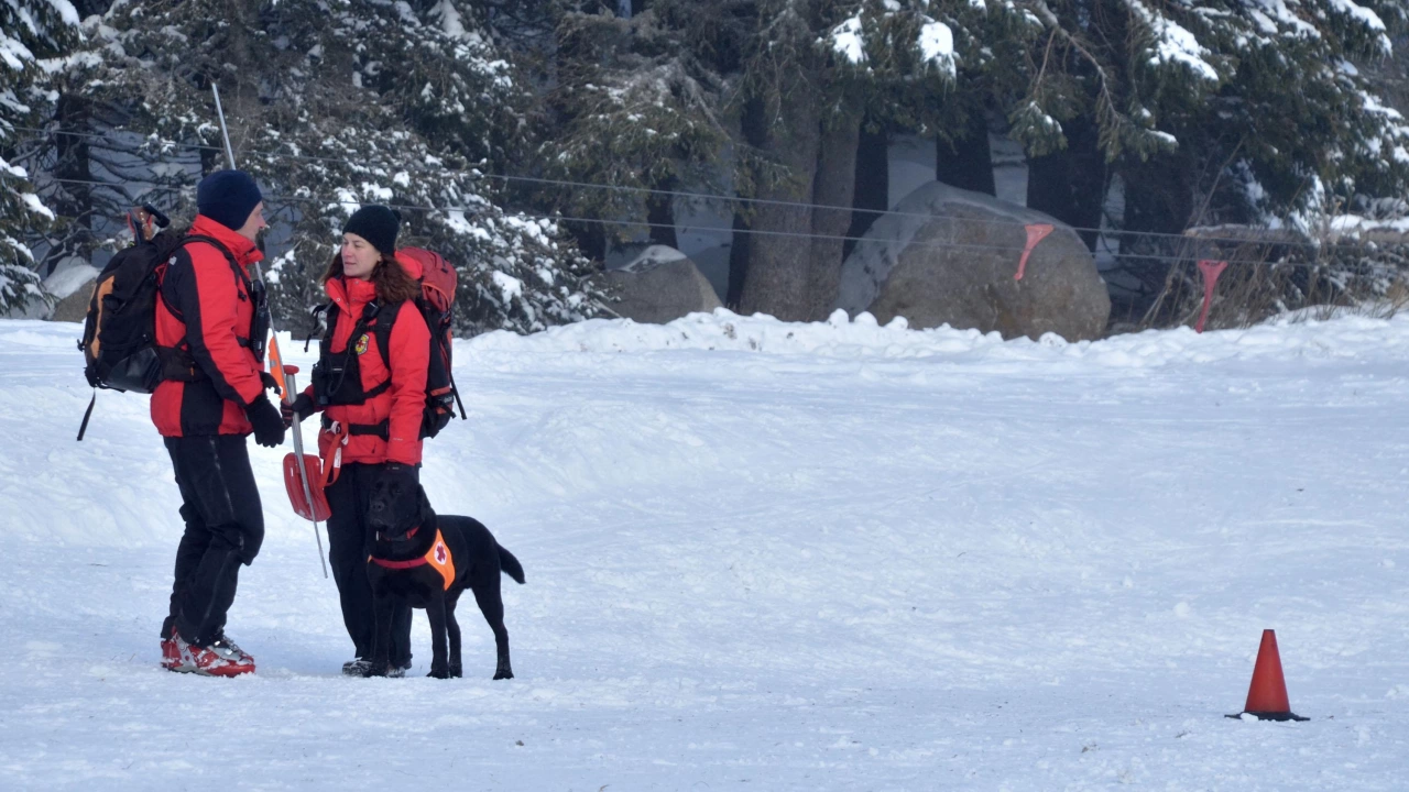 Планинската спасителна служба провежда спасителна акция в Рила съобщиха от
