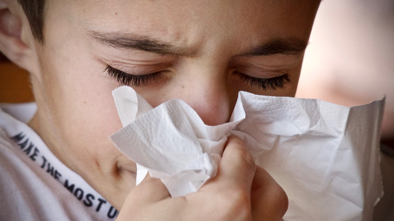 Настинката, сезонният грип и COVID-19 са заразни заболявания, които се