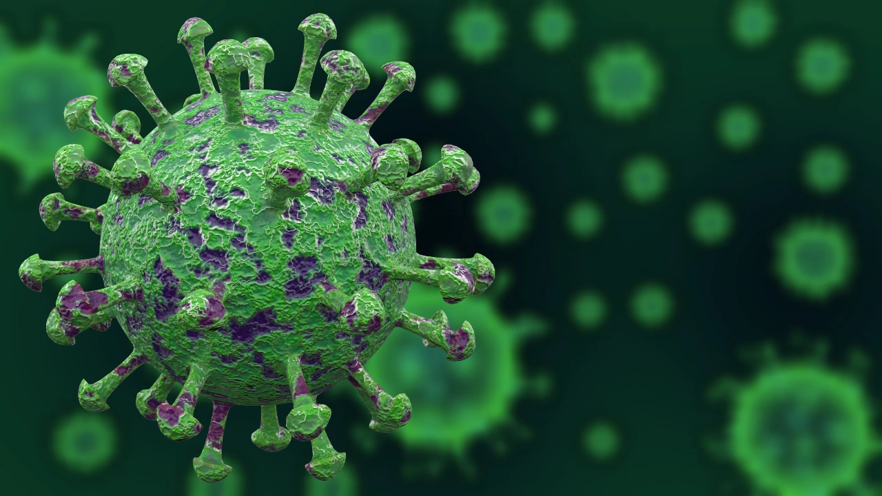 230 са новодиагностицираните с коронавирусна инфекция лица в България за