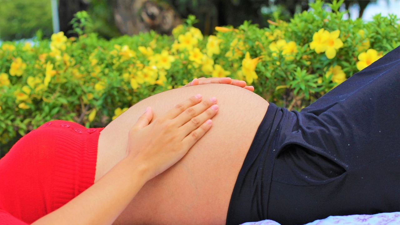 В продължение на 9 месеца бременните преминават през какви ли