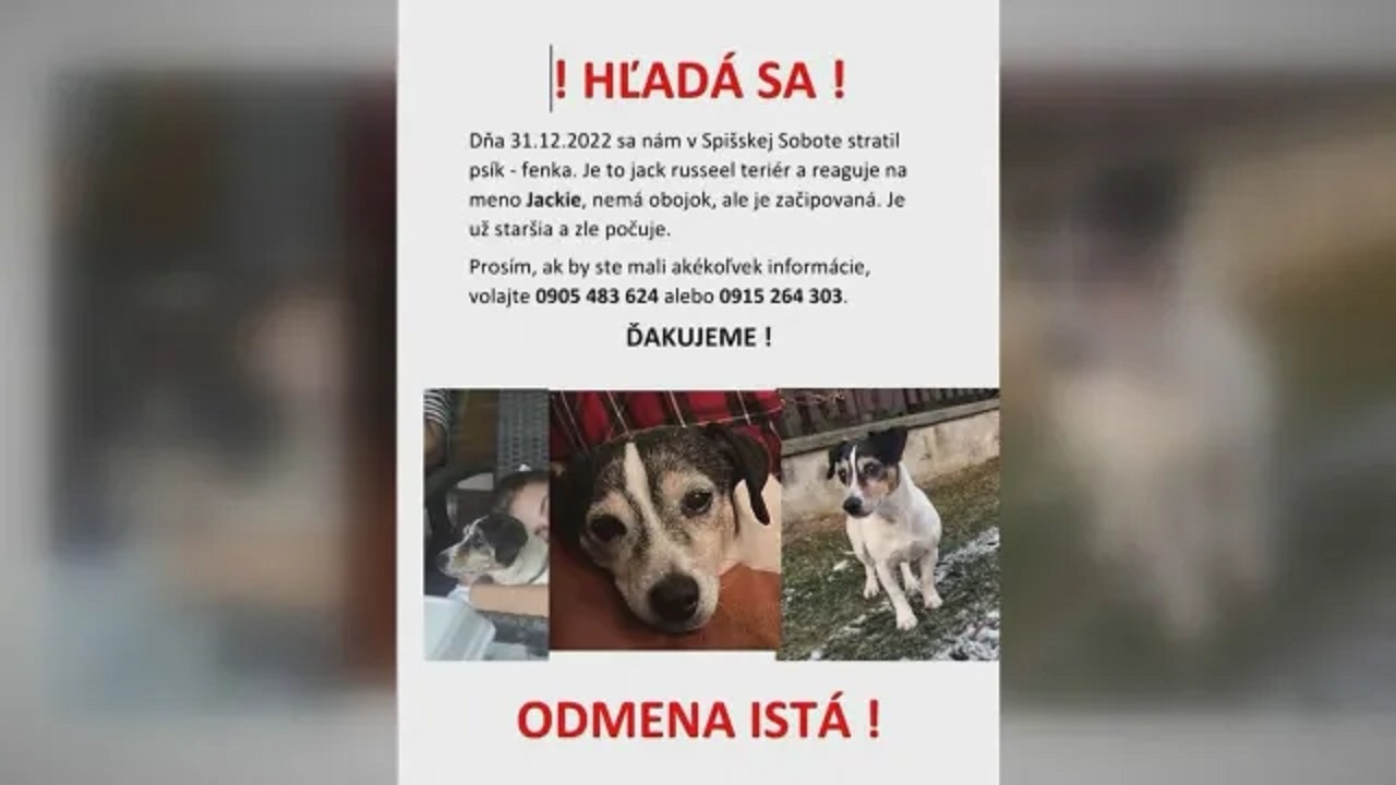 Уплашено от фойерверки куче избяга от Словакия в Латвия