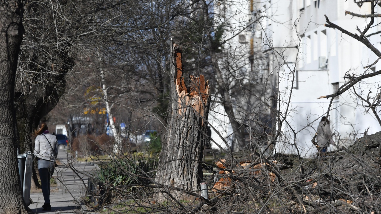 Растат сигналите в София за щети от силния вятър