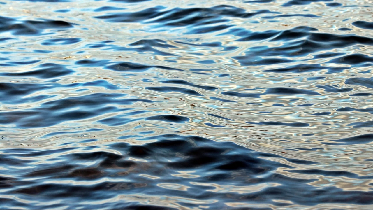 Тяло на удавник изплува в Мандренското езеро Според първоначални данни