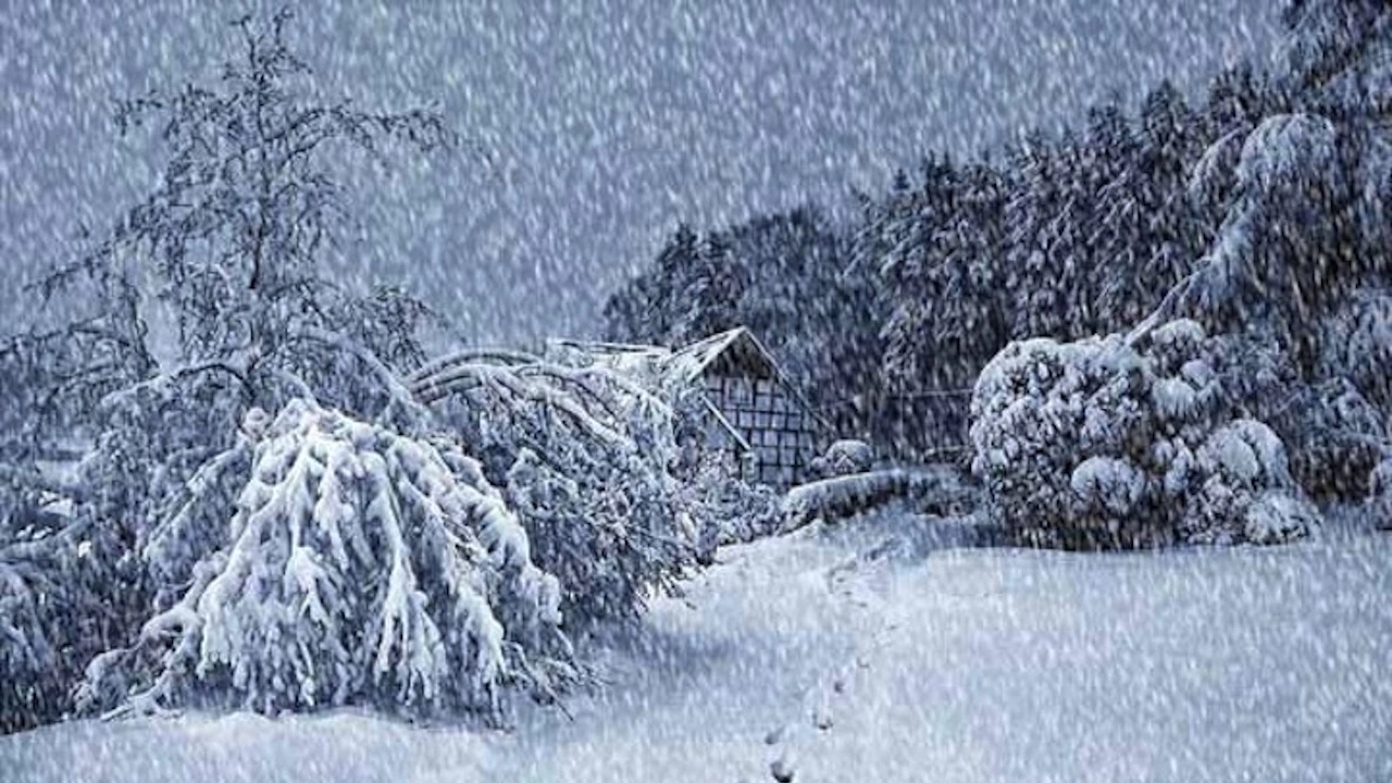 В петък ще вали сняг в Западна България Това заяви