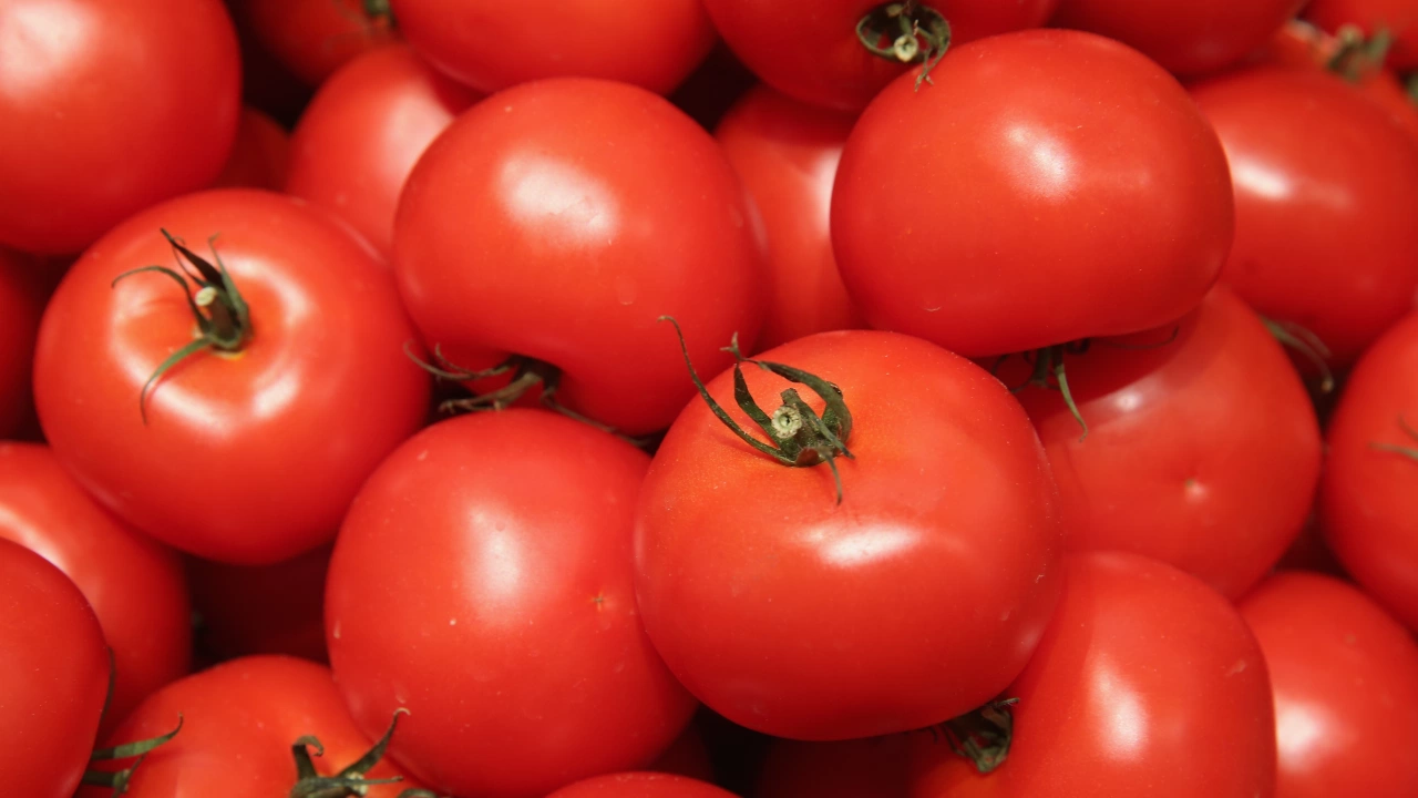 България е третият вносител на турски домати в света сочат