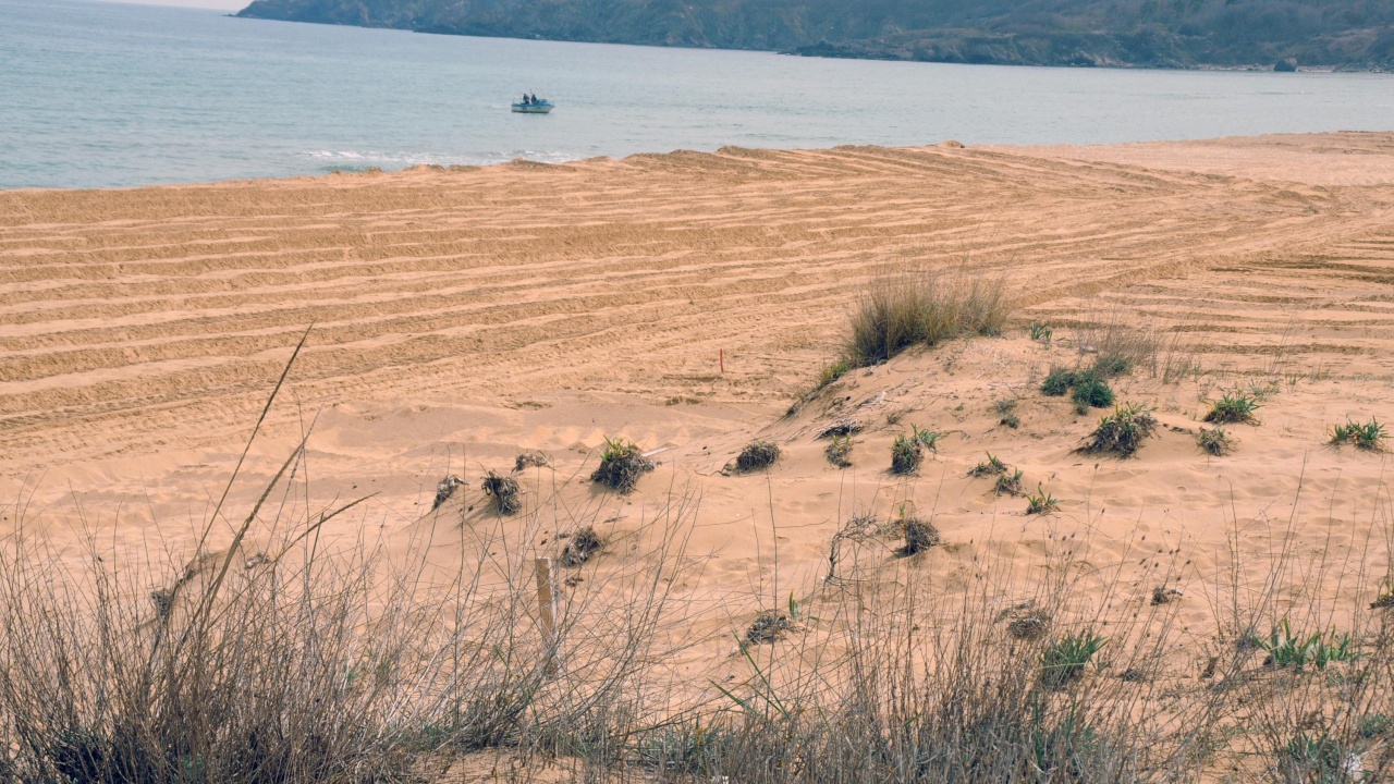 Изкопът край дюните в Несебър е направен от служители на ловното стопанство