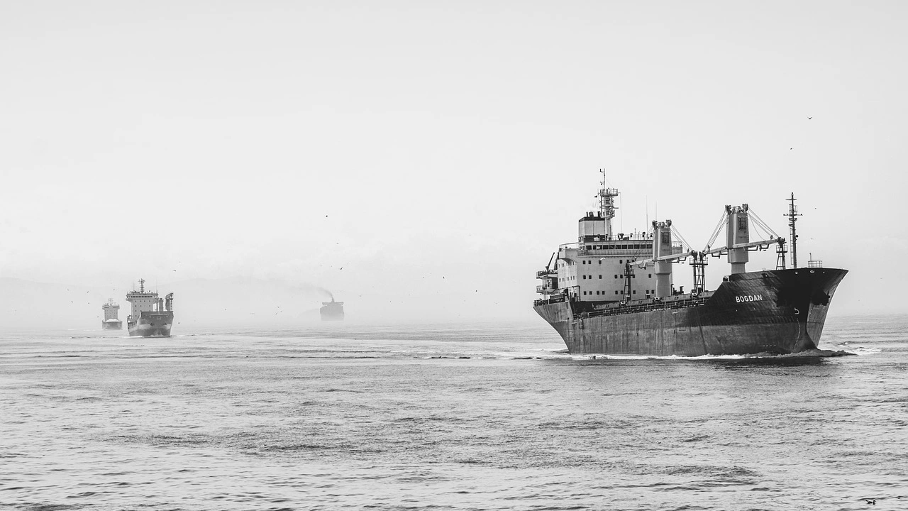 Товарен кораб регистриран в Хонконг превозващ 22 ма членове на екипажа