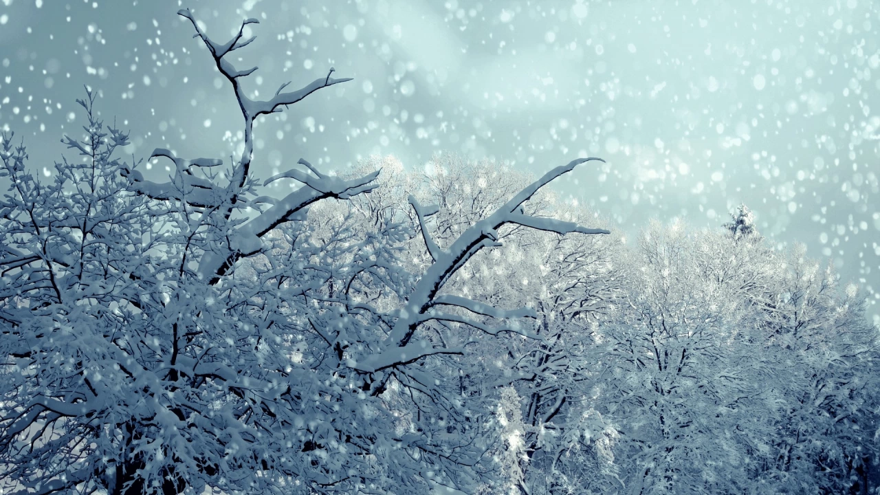 Днес снеговалежите в повечето райони на Западна България временно ще спрат  В