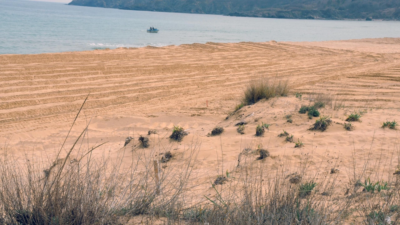 Изкопът край дюните в Несебър е направен от служители на