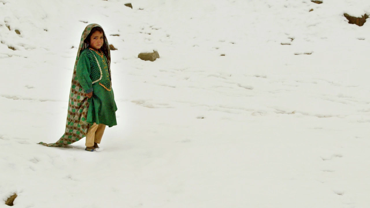Най малко 170 души в Афганистан са починали от студ през