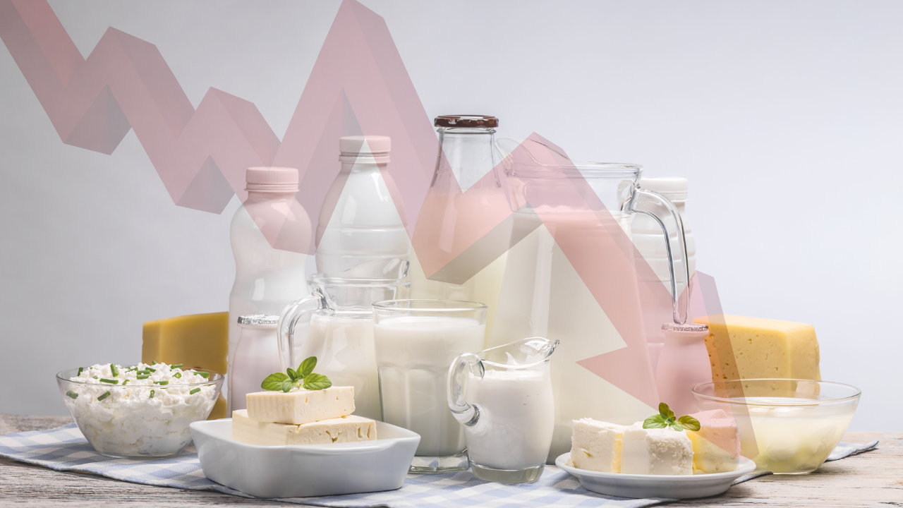 Спад на цените при млечните продукти